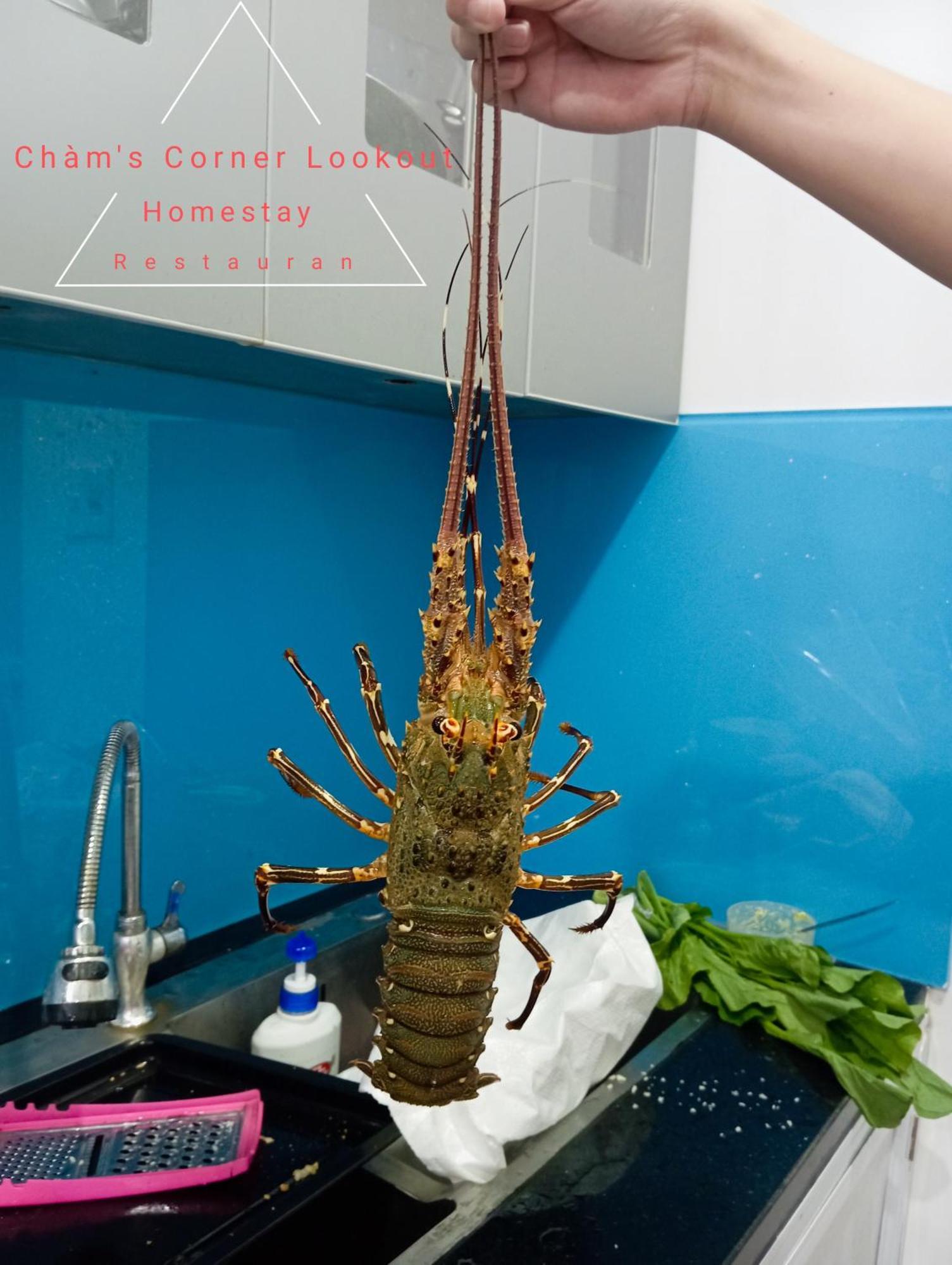 Cham'S Corner Lookout Homestay & Restaurant Tân Hiệ 외부 사진