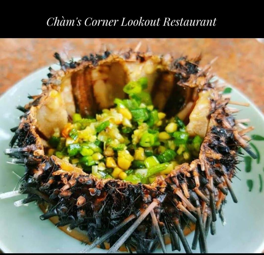 Cham'S Corner Lookout Homestay & Restaurant Tân Hiệ 외부 사진
